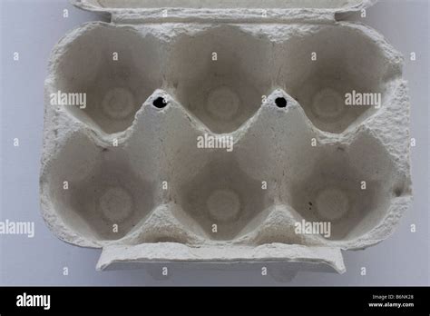 Egg carton on white Stock Photo - Alamy