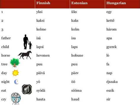 Hungarian Language