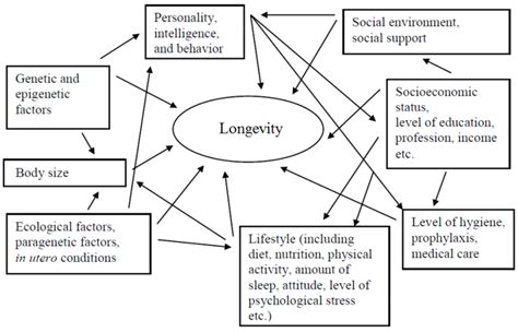 Selected factors affecting human longevity and some of the major... | Download Scientific Diagram