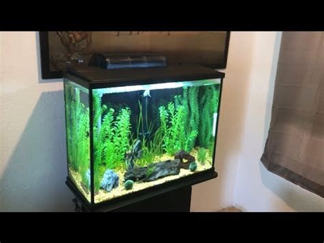 55 Gallon Fish Tank Petsmart Deals, Save 60% | top10bienhoa.com