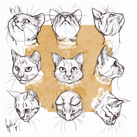 Easy Cat Drawing Ideas and Tutorials for Everyone - Beautiful Dawn Designs | Cats art drawing ...