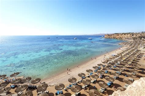 Reef Oasis Beach Resort - All-Inclusive, Sharm El Sheikh: Hotelbewertungen 2019 | Expedia.de