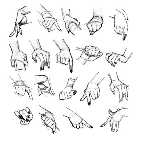 Hands studies for upcoming Tutorial! | REIQ on Patreon | Hand reference ...