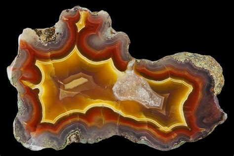 3.1" Polished Banded Laguna Agate End Cut - Mexico (#114494) For Sale - FossilEra.com