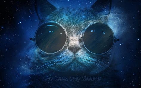 Space Cat Wallpaper - WallpaperSafari