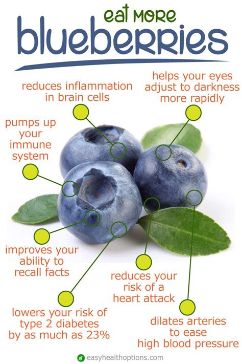 Blueberry Benefits - Kinna Merrili