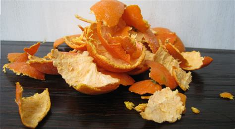 Don’t Throw That Orange Peel to the Trash Bin. Here’s Why ...