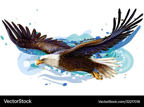 Soaring bald eagle color realistic portrait Vector Image