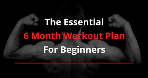 The Essential 6 Month Calisthenics Workout Plan