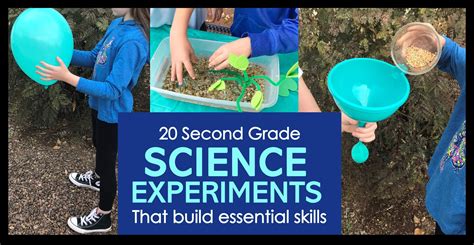 20 Second Grade Science Experiments That Build Essential Skills ...