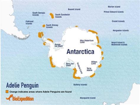 Investigation 1: Penguin Habitats – Polar ICE