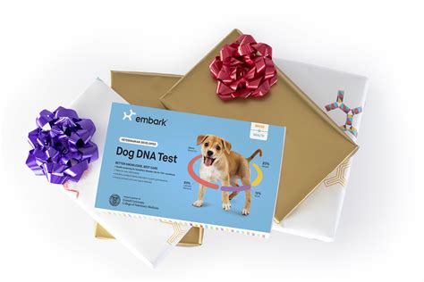 Embark dog DNA kits tell us everything we need to know about our pups