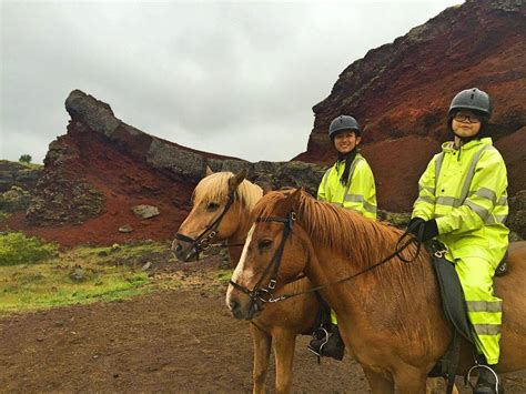 Miss HappyFeet: My Icelandic Horse Riding Experience In Reykjavik