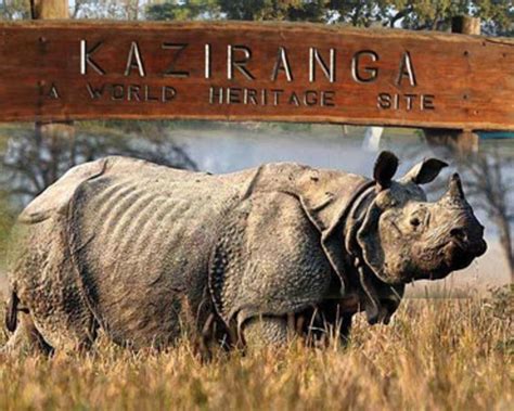 10 Best National Parks and Wildlife Sanctuaries in East India - Adventure Places in East India