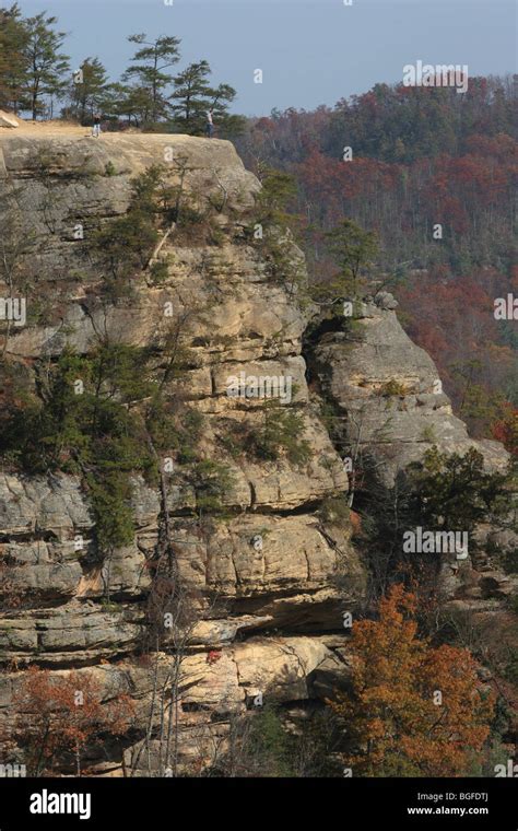 Red River Gorge Kentucky fall colors hiker Stock Photo - Alamy