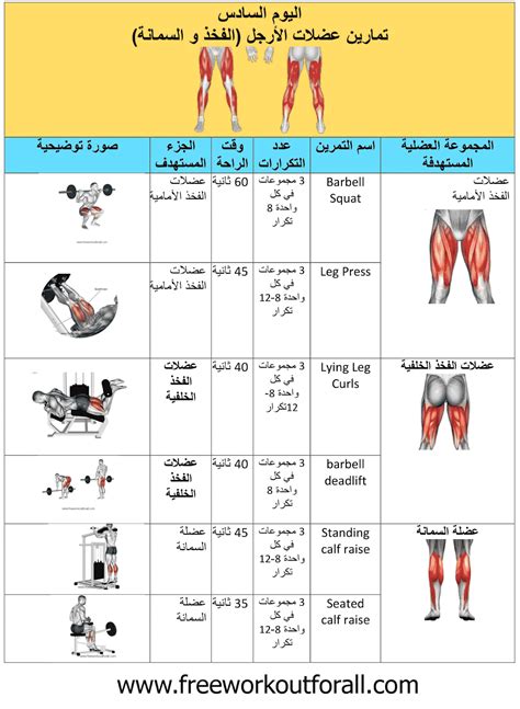 لبناء العضلات جدول غذائي صحي للرياضيين