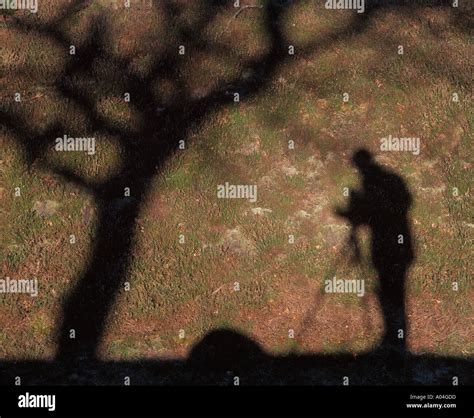 Shadow of photographer and tree Stock Photo - Alamy