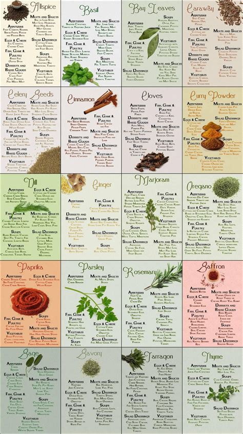 Herb & Spices Cheatsheet - Pretty much saved my cooking. | Spice chart ...