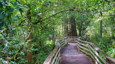 Best Scenic Hikes in Florida | Florida Hikes