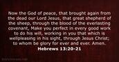 Hebrews 13:20-21 - Bible verse (NRSV) - DailyVerses.net