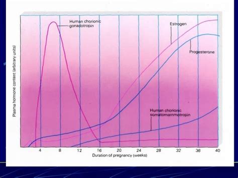 Placental function