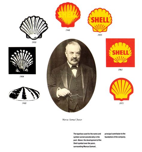 Evolution of Shell Symbol