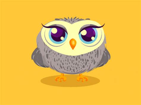 Animated Owl Gif