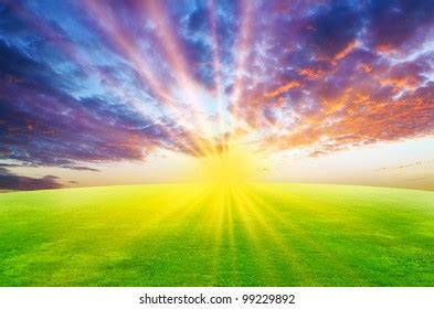 Green Field Sunset Stock Illustration 99229892 | Shutterstock