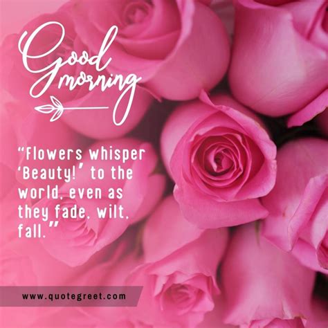 29 Beautiful Good Morning Pink Rose Flower Images |Quotes |Wishes |Messages - QuoteGreet