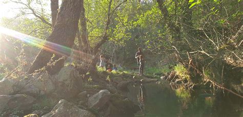 Take care of Children at a Eco Village in Portugal