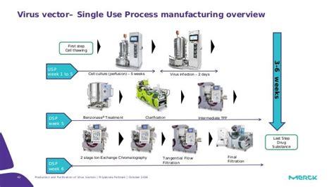 Viral Vector Manufacturing Process