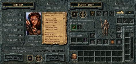 Best cRPGs: Jaheira, Baldur's Gate 1 BG1 Companion