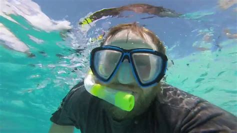 snorkelling with sharks and stingrays - YouTube