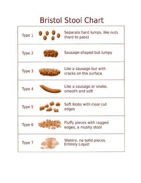 Bristol Stool Chart Download Printable PDF | Templateroller