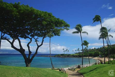 Kapalua Beach in Kapalua, Maui, Hawaii | Hawaiian Beach Rentals