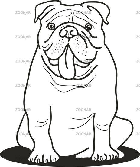 Bulldog Coloring Page ~ Coloringish