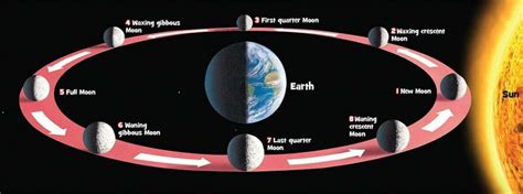 Phases-of-the-Moon-Orbit | Experihub Learning