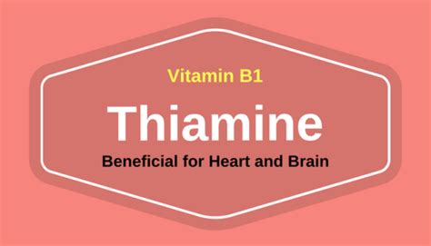 7 Amazing Health Benefits of Thiamine (Vitamin B1) | Ayur Times