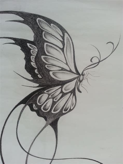 Butterfly Sketch New butterfly Drawing Pencil Pencil Sketch butterfly Drawing Pencil ...