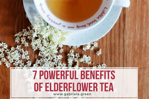 7 Powerful Benefits of Elderflower Tea - Gabriela Green