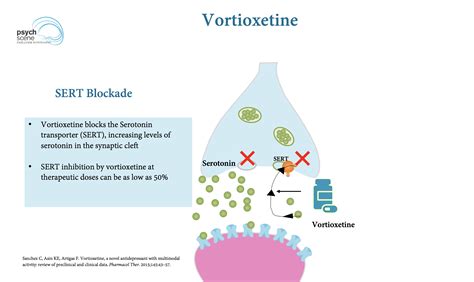 A Focus on Vortioxetine - Mechanism of Action and Efficacy