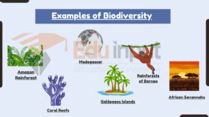 15 Examples of Biodiversity