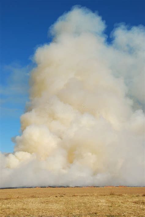 Grass Fire stock photo. Image of smoke, outdoors, environment - 25247082