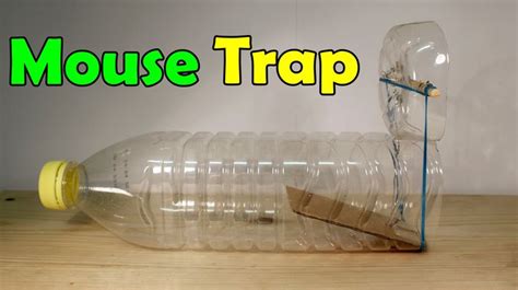 How to Make a Mouse Trap at Home (Plastic Bottle) | Homemade mouse ...