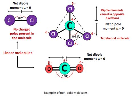 How to tell if a molecule is polar or nonpolar? - All concepts