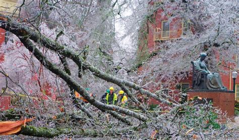 Following Ice Storm, City Fixes Tree Hazards in Real Time | ArcNews