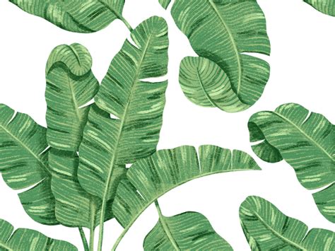 Banana Leaf Print by Anna Lillian Martinez on Dribbble