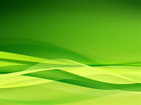 Green Color Background Wallpaper - WallpaperSafari