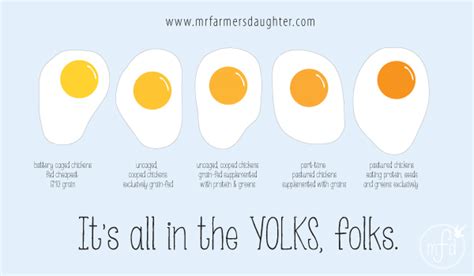 yolks Archives - Mr. Farmer's Daughter