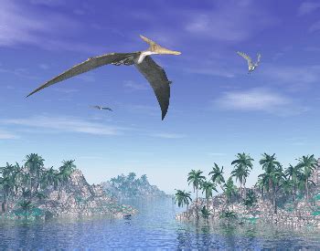 Pteranodon Facts for Kids